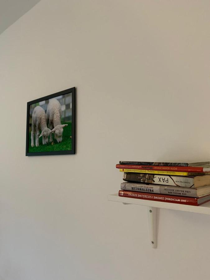 Apartment Little Sheep Chojna