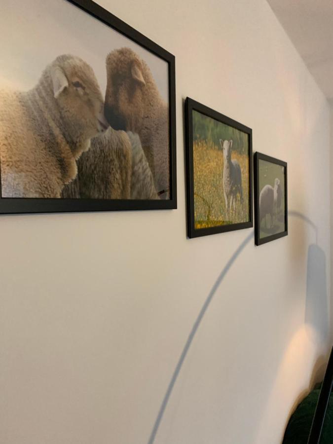 Little Sheep Apartment Chojna