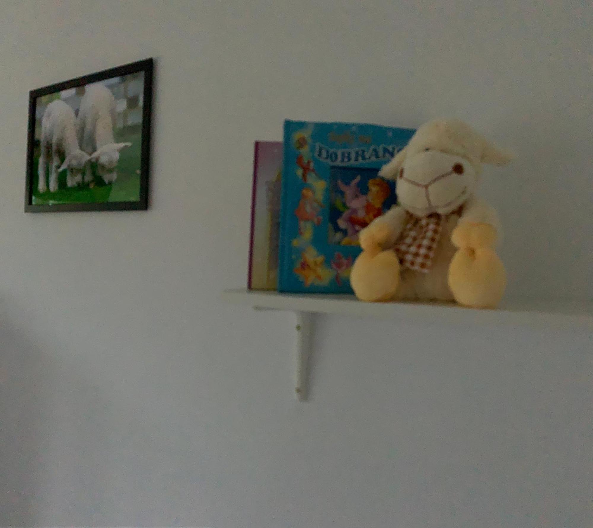 Apartment Little Sheep *